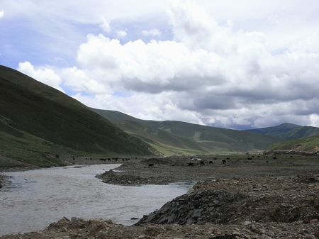 RIMG0091.JPG