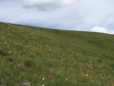 100_8803.JPG