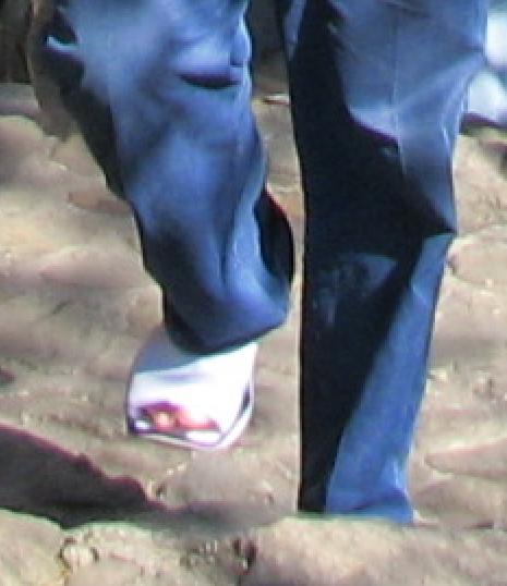 Ь