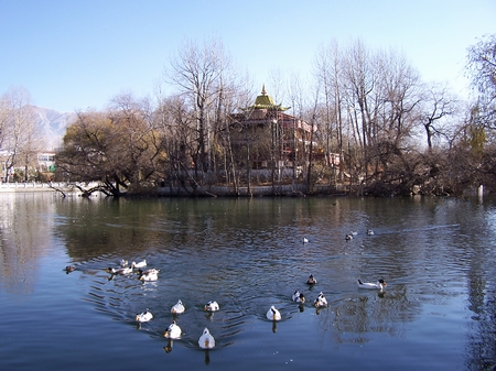 100_7026.JPG