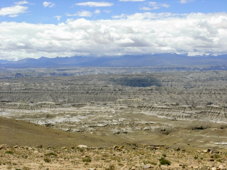 RIMG0081.JPG