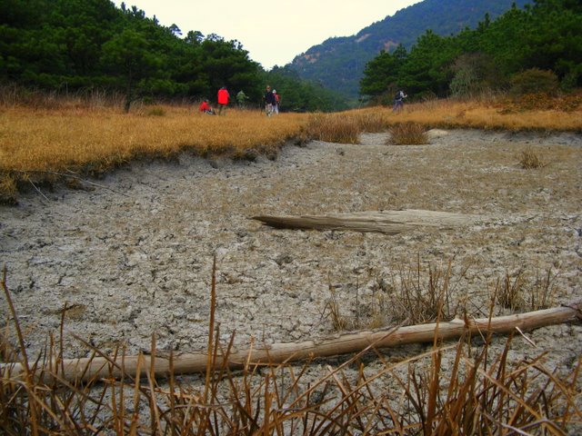 IMG_0370.jpg
