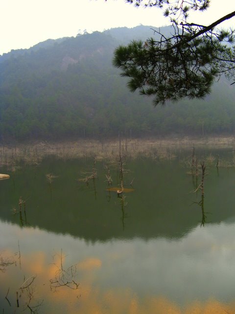 IMG_0380.jpg