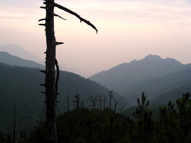 IMG_0361.jpg