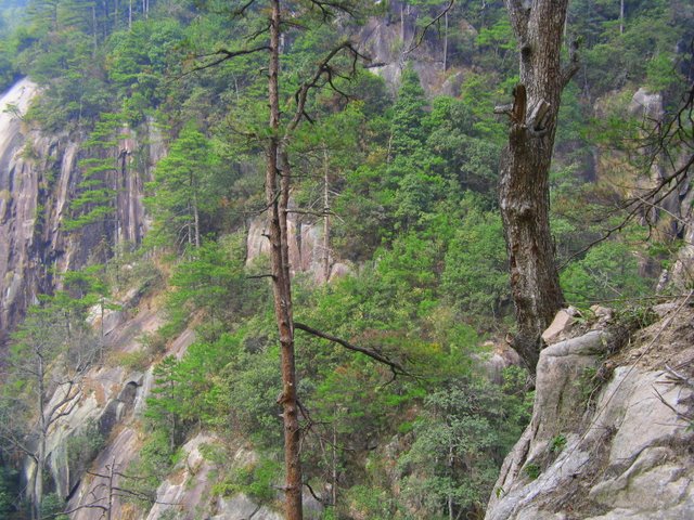 IMG_0350.jpg