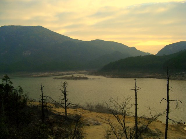 IMG_0378.jpg