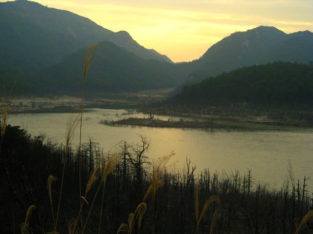IMG_0377.jpg