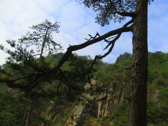 IMG_0352.jpg
