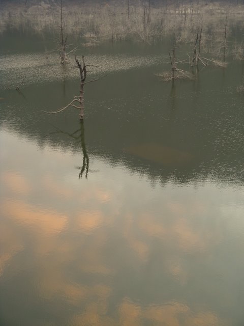 IMG_0382.jpg