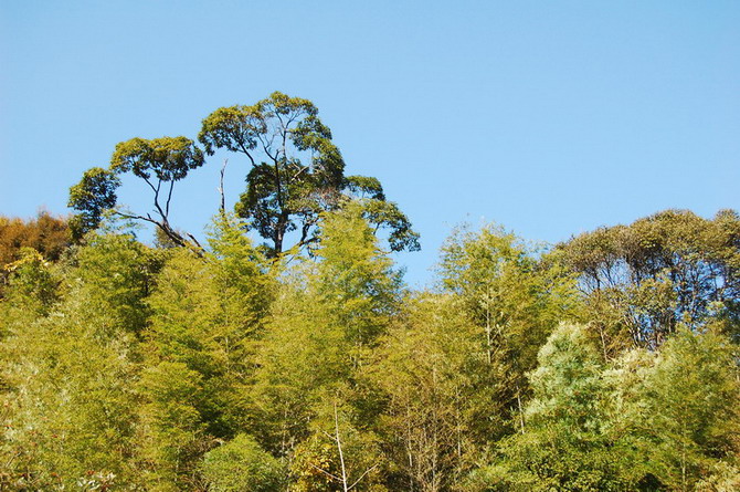 DSC_0094.jpg