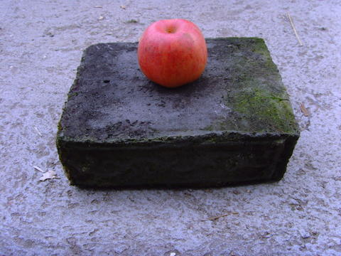 8b70.jpg