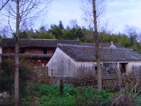 14a5.jpg