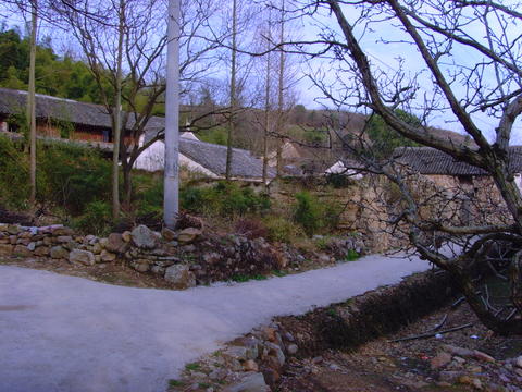 661f.jpg