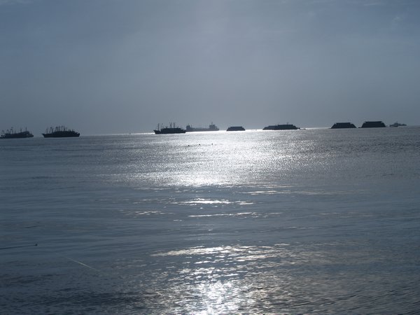 P1010054.jpg