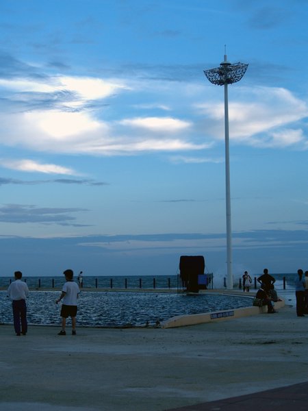 P1010098.jpg