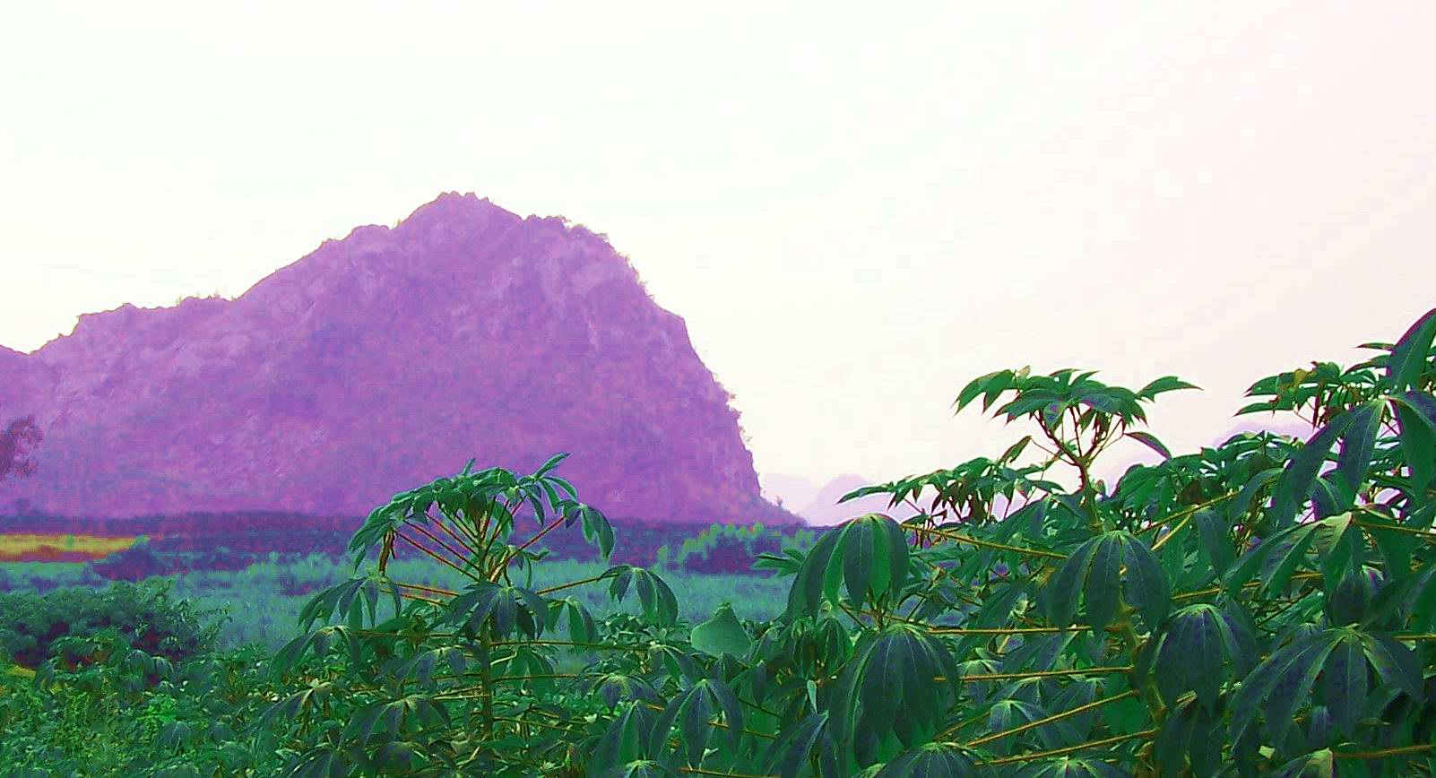 ʯʵصĴñɽ