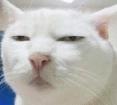 QQͼδ.jpg