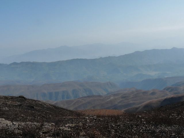 P1030137.jpg