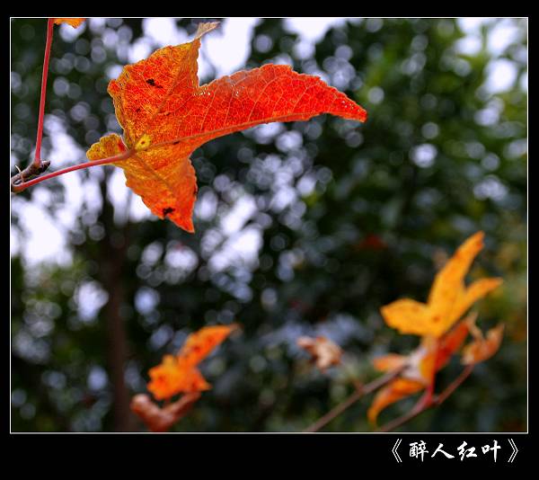 IMG2809_nEO_IMG.jpg