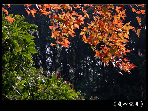 IMG_2752_nEO_IMG.jpg