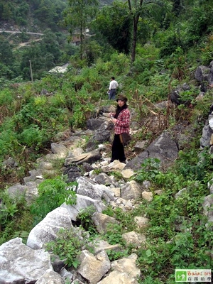 20081015_d8931d4220094581cc2edfZBGmjGs2M1.jpg